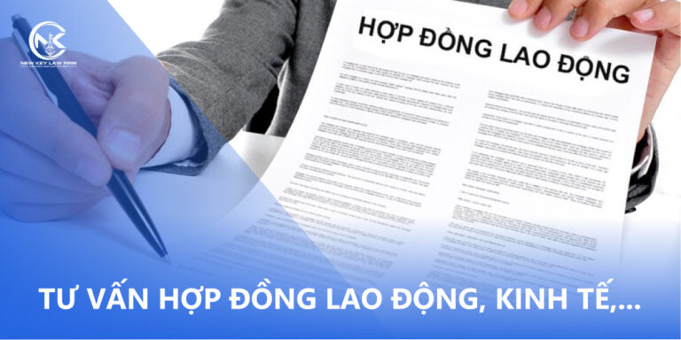Tư vấn hợp đồng lao động, kinh tế