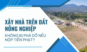 Xây nhà trên đất nông nghiệp không bị phá dỡ nếu nộp tiền phạt
