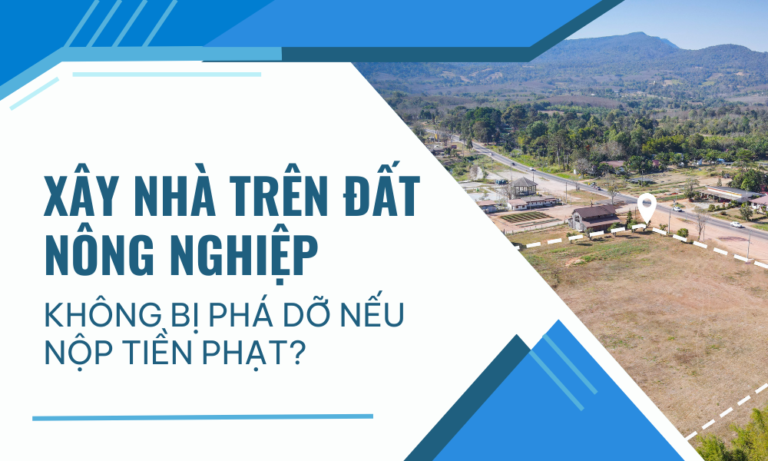 Xây nhà trên đất nông nghiệp không bị phá dỡ nếu nộp tiền phạt