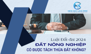 Luật Đất đai 2024 Đất nông nghiệp có được tách thửa đất không