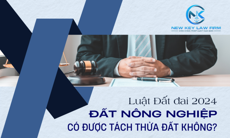 Luật Đất đai 2024 Đất nông nghiệp có được tách thửa đất không